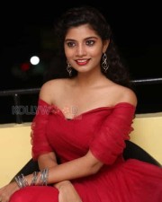 Tollywood Actress Bindu Photos