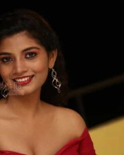 Tollywood Actress Bindu Photos