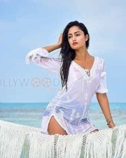 Tridha Choudhury Bikini Photos