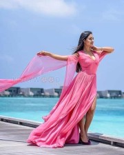 Tridha Choudhury Bikini Photos