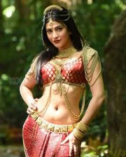 Vakeel Saab Heroine Shruti Haasan Pictures 04