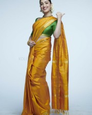 Yami Gautam in a Golden Silk Saree Photo 01