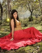 Acharam Movie Heroine Poonam Kaur Photos