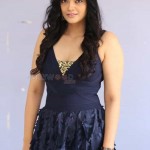 Kalpika Ganesh 29 Actress Kalpika Ganesh At My Dear Marthandam Movie Press Meet Photos