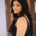 Kalpika Ganesh 26 Actress Kalpika Ganesh At My Dear Marthandam Movie Press Meet Photos