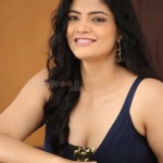 Kalpika Ganesh 19 Actress Kalpika Ganesh At My Dear Marthandam Movie Press Meet Photos