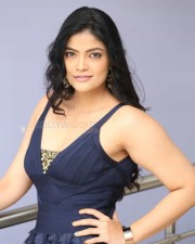 Actress Kalpika Ganesh At My Dear Marthandam Movie Press Meet Photos