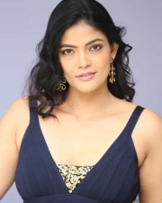 Actress Kalpika Ganesh At My Dear Marthandam Movie Press Meet Photos