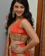 Actress Mehreen Photos