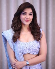 Actress Mehreen Pirzada at Spark Pre Release Event Photos 05