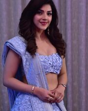 Actress Mehreen Pirzada at Spark Pre Release Event Photos 12