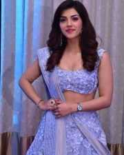 Actress Mehreen Pirzada at Spark Pre Release Event Photos 15