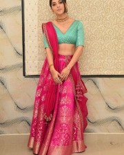 Actress Mehrene Kaur Pirzada At Aswathama Movie Audio Launch Stills