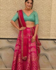 Actress Mehrene Kaur Pirzada At Aswathama Movie Audio Launch Stills