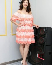 Actress Mehrene Kaur Pirzada At Aswathama Movie Interview Pictures