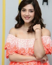 Actress Mehrene Kaur Pirzada At Aswathama Movie Interview Pictures