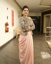 Actress Mehrene Kaur Pirzada At Chanakya Movie Interview Pictures