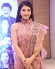 Actress Mehrene Kaur Pirzada At F Movie  Days Celebrations Stills