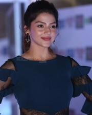 Actress Mehrene Kaur Pirzada At Nota Press Meet Photos
