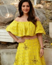 Actress Mehrene Kaur Pirzada At Vijay Devarakonda New Movie Launch Photos