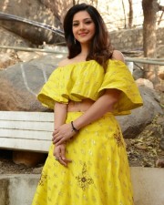 Actress Mehrene Kaur Pirzada At Vijay Devarakonda New Movie Launch Photos