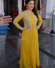 Actress Mehrene Kaur Pirzada Photos