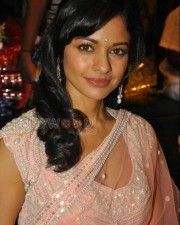 Pooja Kumar 28 Actress Pooja Kumar Pictures