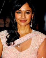 Pooja Kumar 16 Actress Pooja Kumar Sexy Saree Stills
