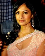 Pooja Kumar 14 Actress Pooja Kumar Sexy Saree Stills