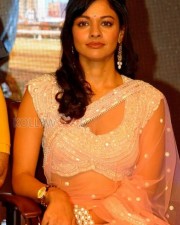 Pooja Kumar 11 Actress Pooja Kumar Sexy Saree Stills