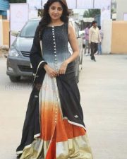 Actress Poonam Kaur Beautiful Pictures