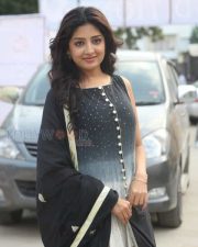 Actress Poonam Kaur Beautiful Pictures