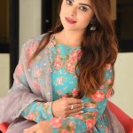 Priyanka Sharma 3 Actress Priyanka Sharma at Bommala Koluvu Movie Trailer Launch Pictures
