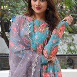 Priyanka Sharma 14 Actress Priyanka Sharma at Bommala Koluvu Movie Trailer Launch Pictures