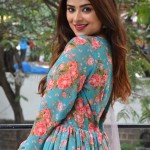 Priyanka Sharma 13 Actress Priyanka Sharma at Bommala Koluvu Movie Trailer Launch Pictures