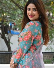 Actress Priyanka Sharma at Bommala Koluvu Movie Trailer Launch Pictures