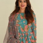 Priyanka Sharma 11 Actress Priyanka Sharma at Bommala Koluvu Movie Trailer Launch Pictures