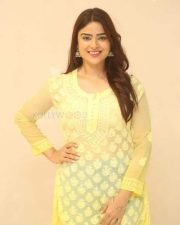 Actress Priyanka Sharma at MENTOO Pre Release Press Meet Pictures 03