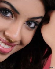 Actress Richa Gangopadhyay Hot And Sexy Pictures