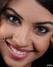 Actress Richa Gangopadhyay Hot And Sexy Pictures