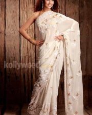 Actress Richa Gangopadhyay Hot And Sexy Pictures