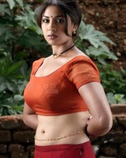Actress Richa Gangopadhyay Hot Navel Pictures