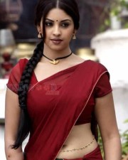 Actress Richa Gangopadhyay Hot Navel Pictures