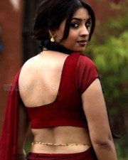 Actress Richa Gangopadhyay Hot Navel Pictures