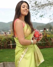 Actress Richa Gangopadhyay Sexy Photos