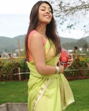 Actress Richa Gangopadhyay Sexy Photos