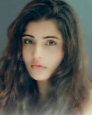 Actress Shaylee Krishen Photos