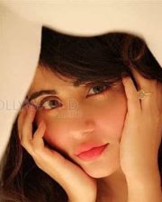 Actress Shaylee Krishenan Hot Photos