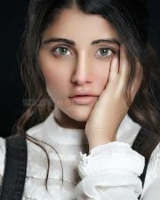 Actress Shaylee Krishenan Hot Photos