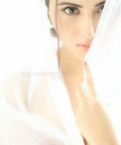 Actress Shaylee Krishenen Spicy Photos